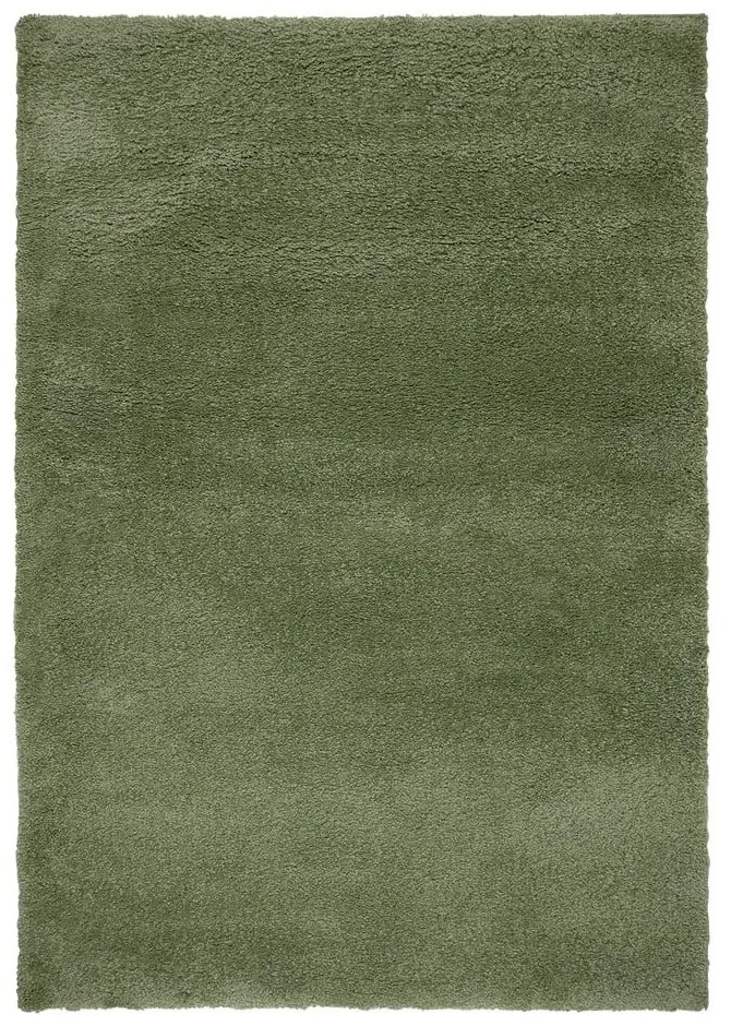 Zielony dywan 120x170 cm – Flair Rugs