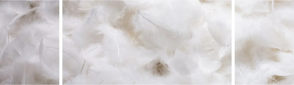 Obraz - Białe pióra (170x50 cm)