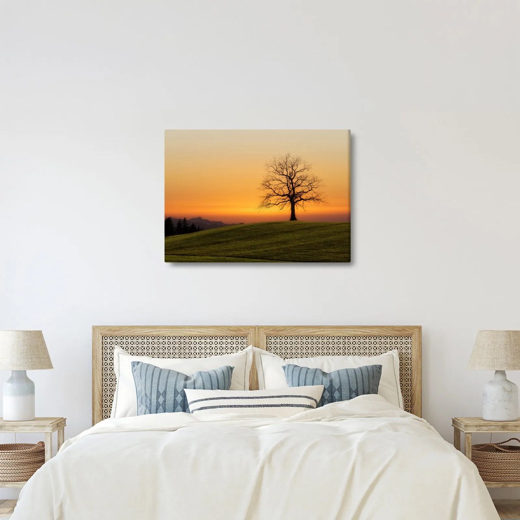 Obraz zachodu słońca na łące (70x50 cm)