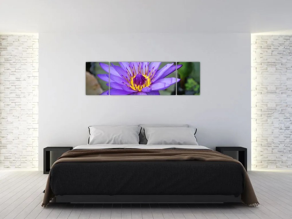 Obraz - Fioletowy kwiat (170x50 cm)