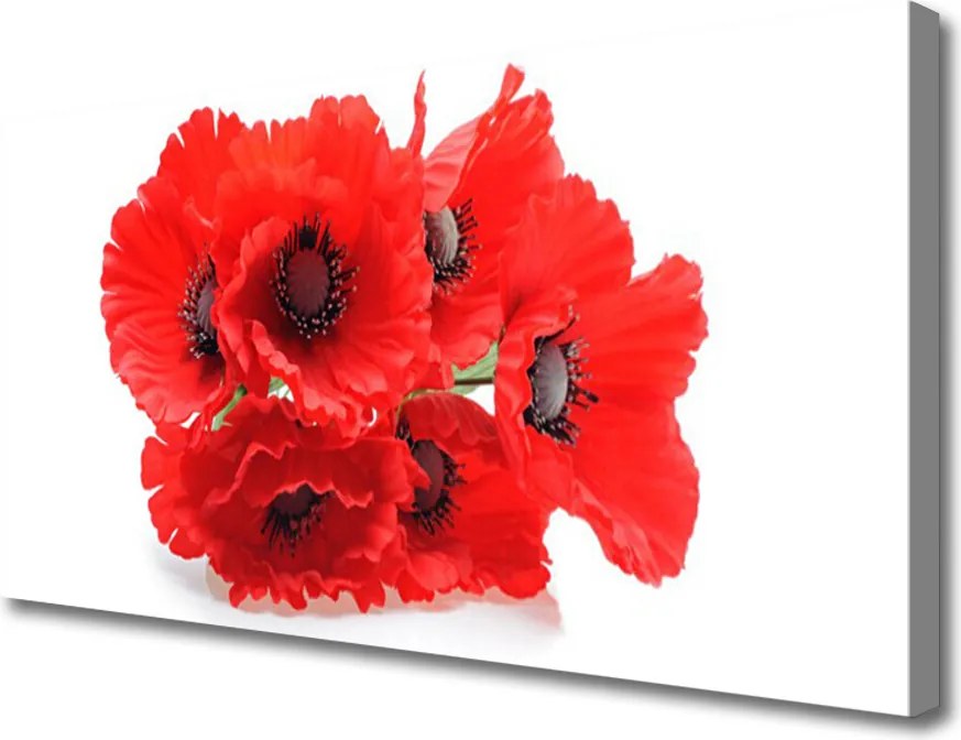 Obraz drukowany na płótnie Zestawienie Kwiatowych Motywów