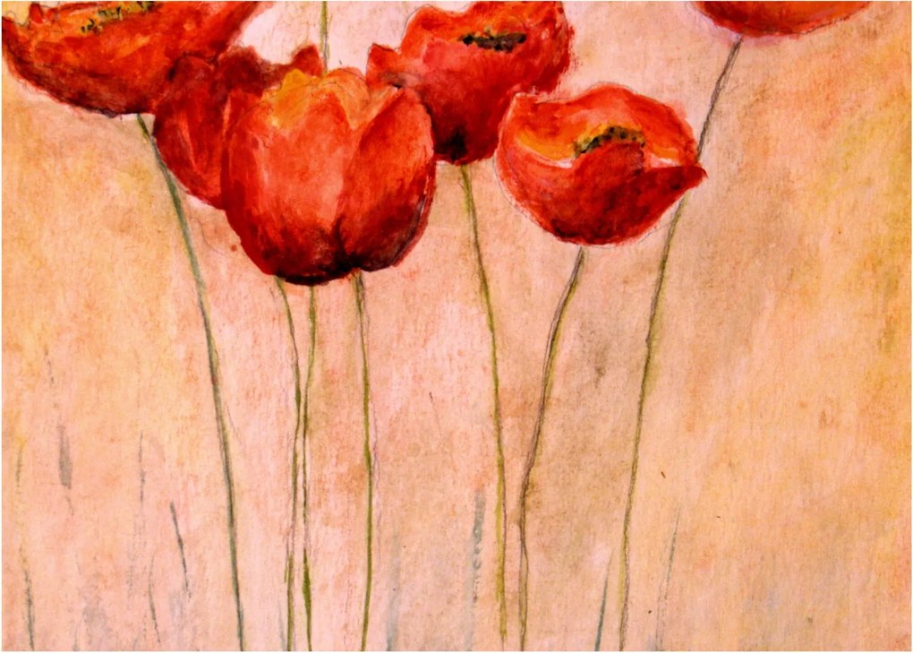 Obraz na szkle - Czerwone tulipany (70x50 cm)