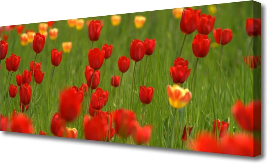 Obraz na płótnie Wiosenna Świeżość Tulipanów