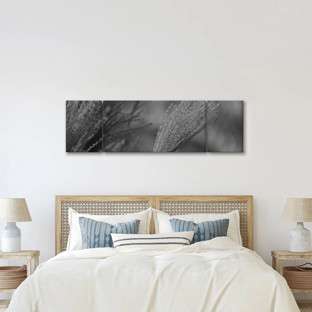 Obraz - Suszona trawa pampasowa (170x50 cm)