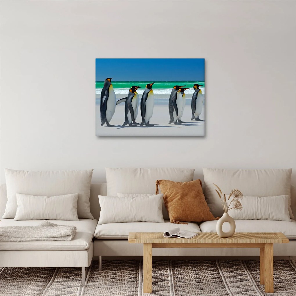 Obraz - Grupa Pingwinów królewskich (70x50 cm)