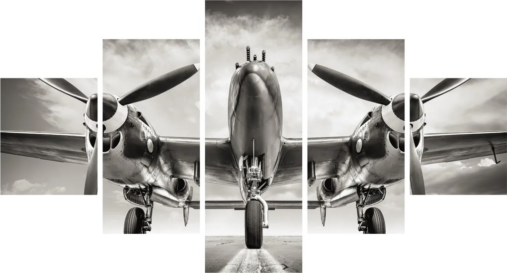 Obraz - Warbird (125x70 cm)