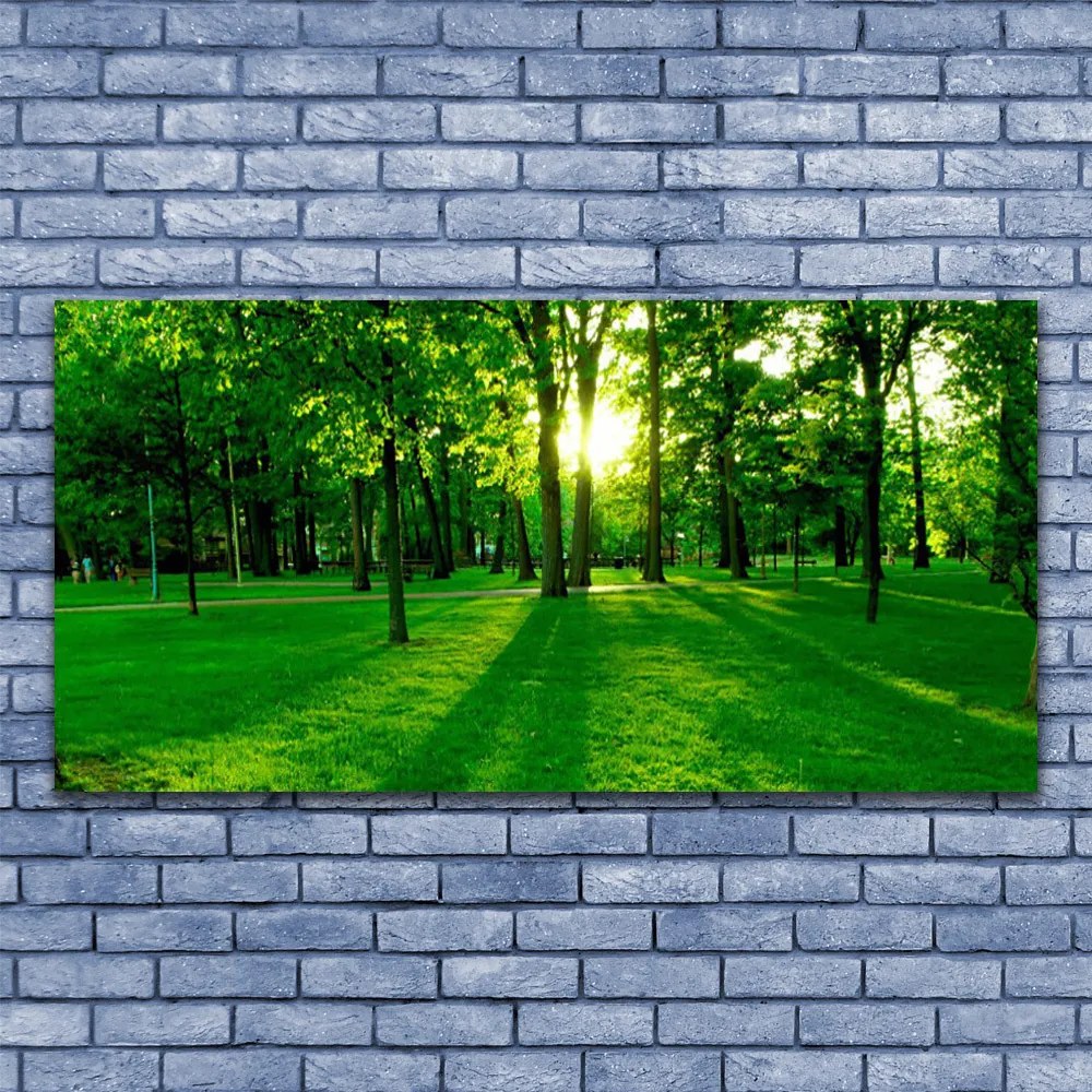 Obraz na płótnie Parkowe Alejki w Słońcu