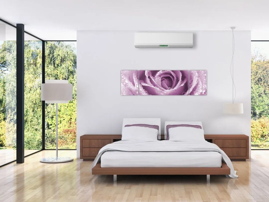 Obraz szczegółu kwiatu róży (170x50 cm)
