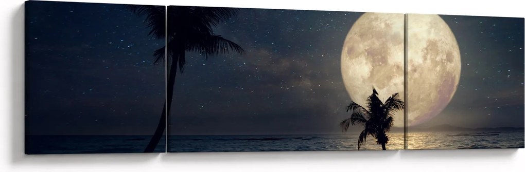 Obraz - Plaża pod pełnią księżyca (170x50 cm)