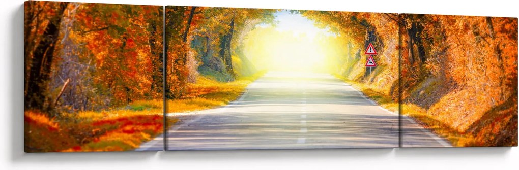 Obraz - Brama wykonana z koron drzew (170x50 cm)