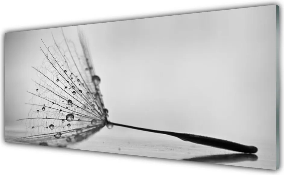 Szkło Ozdobne do Kuchni Taniec Nasion Dmuchawca na Wietrze