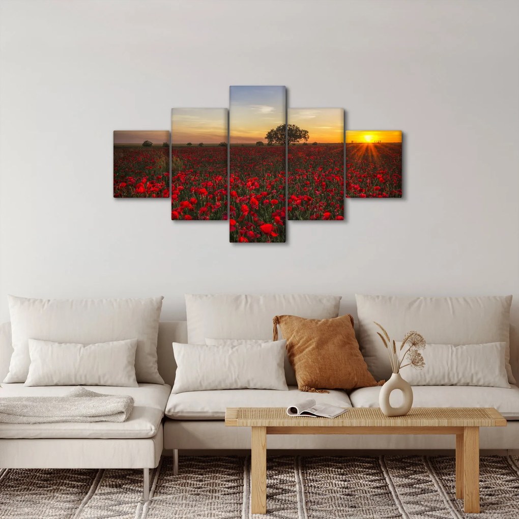 Obraz łąki z makami (125x70 cm)