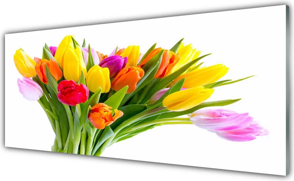 Panel Szklany do Kuchni Kolorowe Pole Tulipanów
