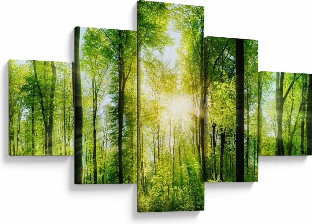 Obraz - Świt w lesie (125x70 cm)