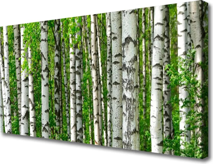 Zdjęcie na płótnie Dziki Bór Sosnowy