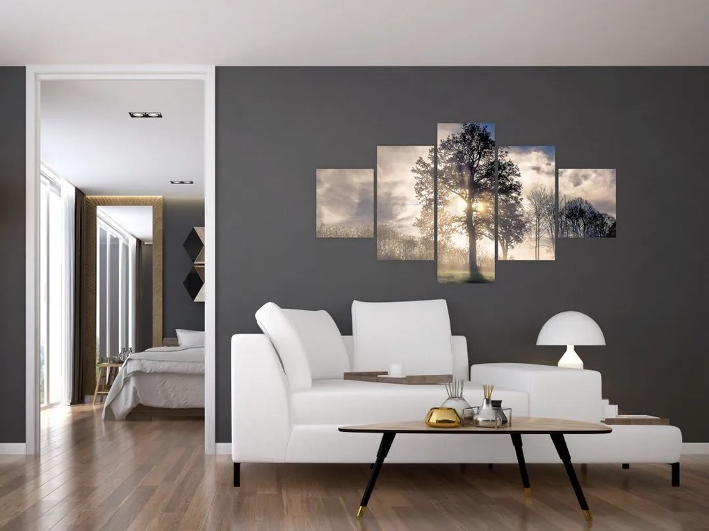 Obraz drzewa we mgle (125x70 cm)