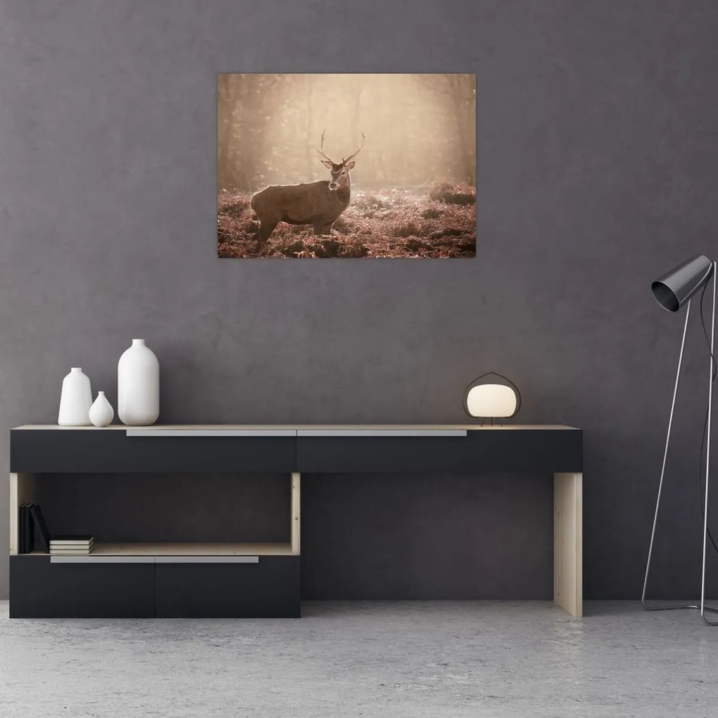Obraz - Jeleń w lesie (70x50 cm)