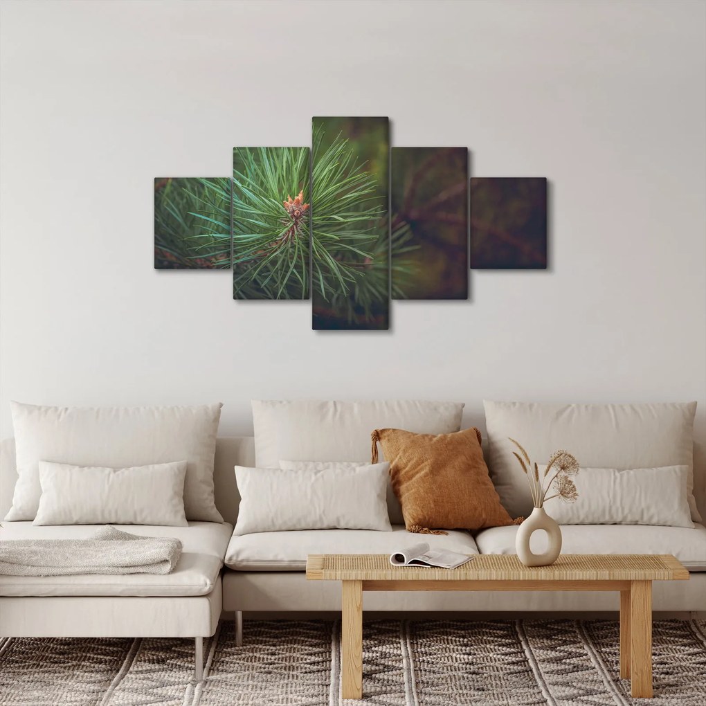 Obraz - Detal sosny (125x70 cm)