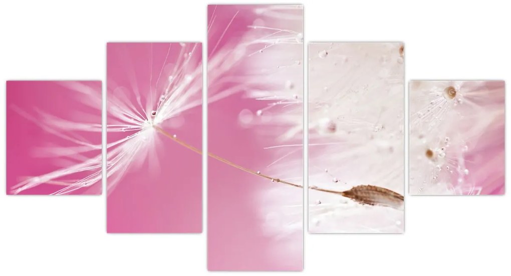 Obraz - Makro kwiat (125x70 cm)