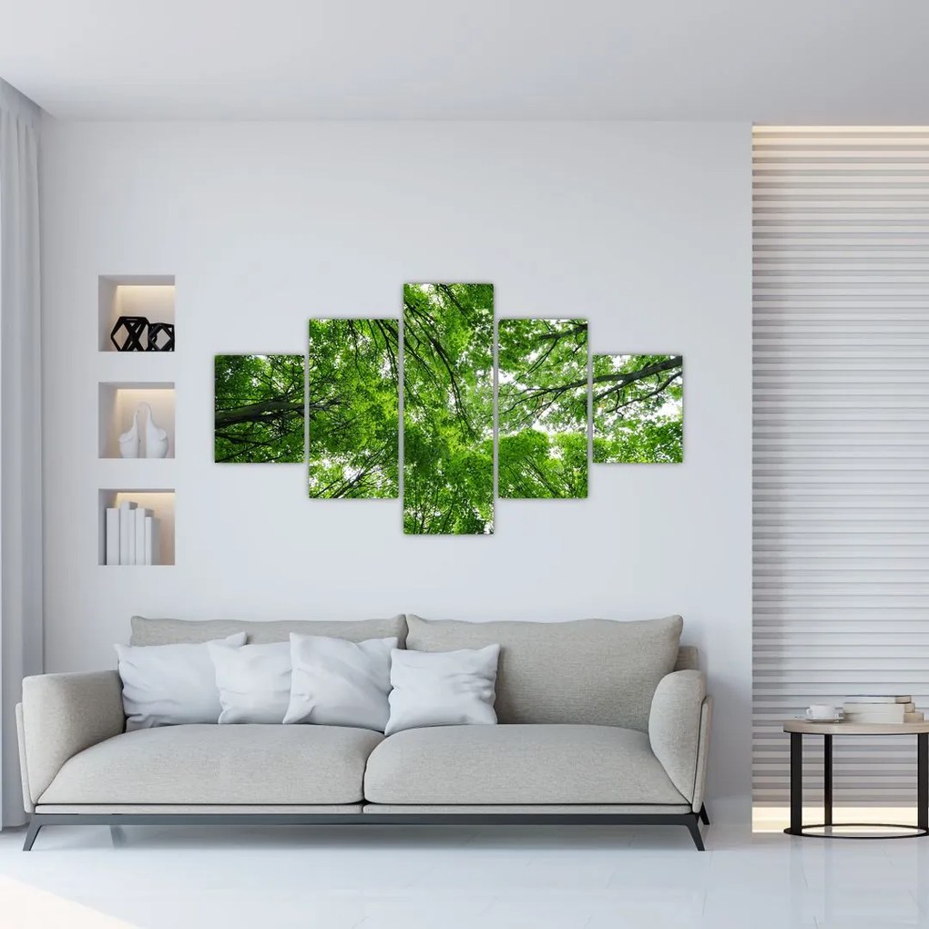 Obraz - Widok do korony drzewa (125x70 cm)