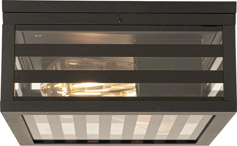 Nowoczesna lampa sufitowa zewnętrzna czarna szklana 2-światłowa IP44 - Reims