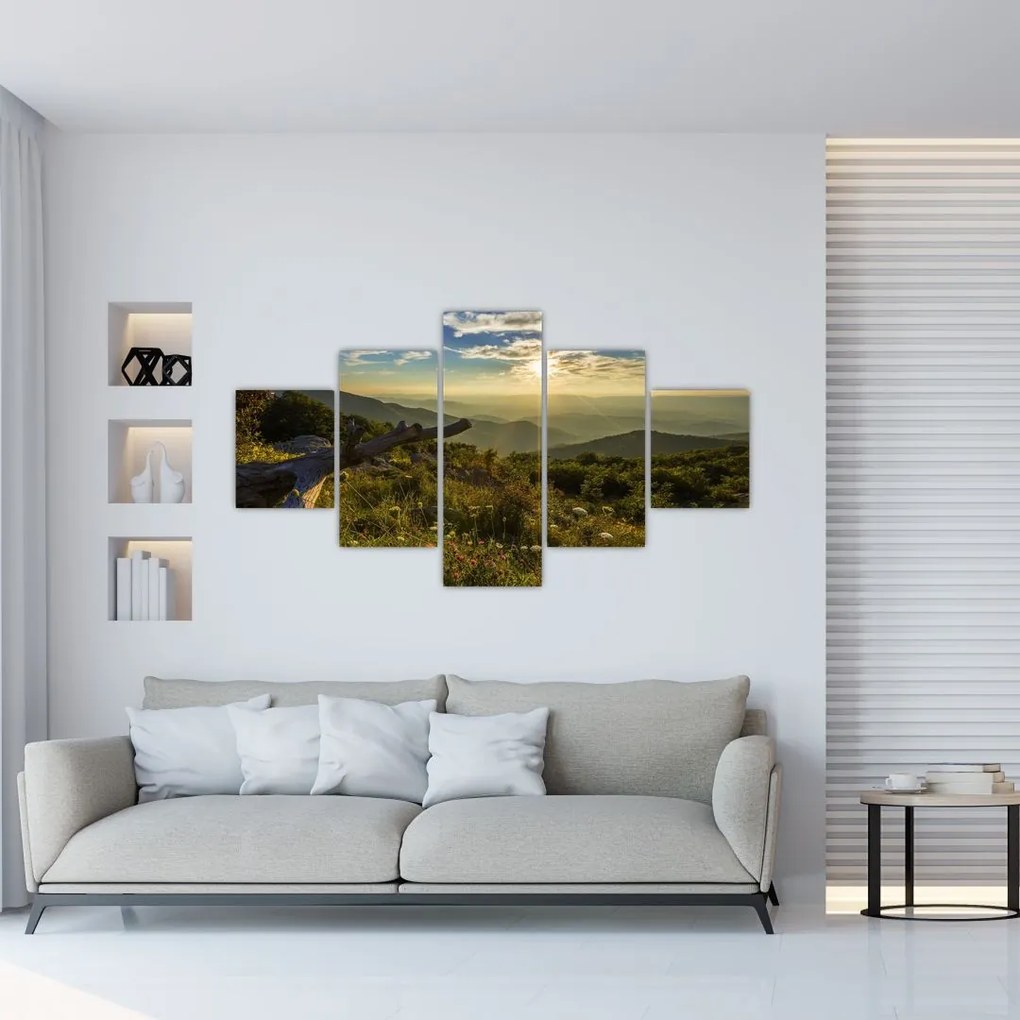 Obraz - Widok na otoczenie (125x70 cm)