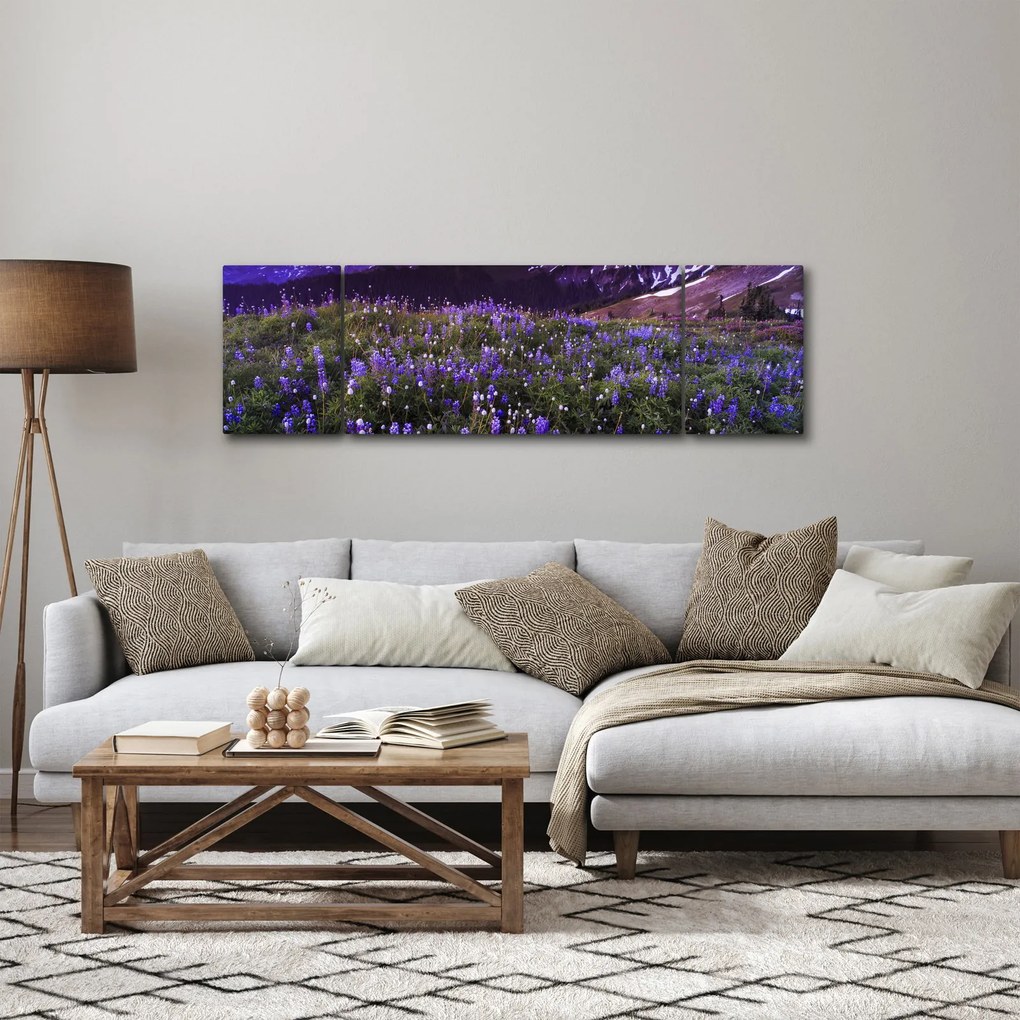 Obraz - Wulkan i kwiaty (170x50 cm)