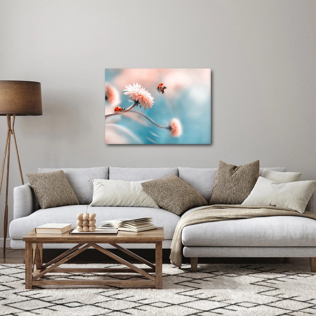 Obraz - Biedronka na kwiatku (70x50 cm)