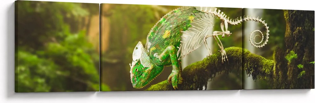Obraz jaszczurki (170x50 cm)
