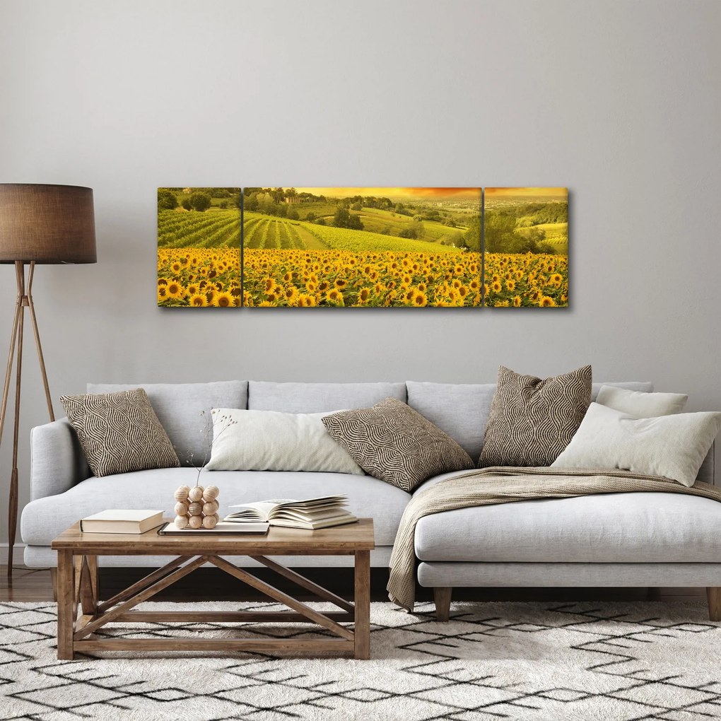 Obraz - Pole słoneczników (170x50 cm)
