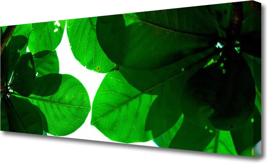Obraz na płótnie Stylowy Motyw Liści