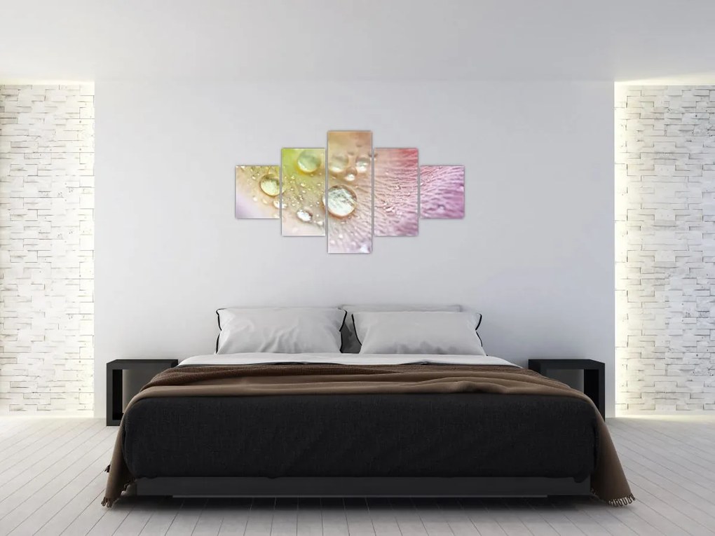 Obraz - Krople rosy (125x70 cm)