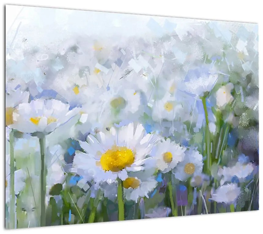 Obraz na szkle - W stokrotkach (70x50 cm)