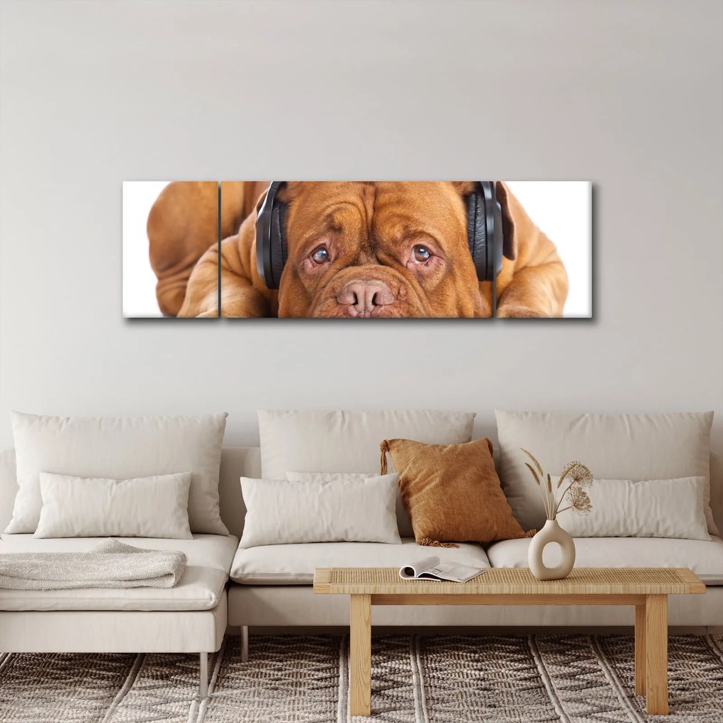Obraz psa ze słuchawkami (170x50 cm)