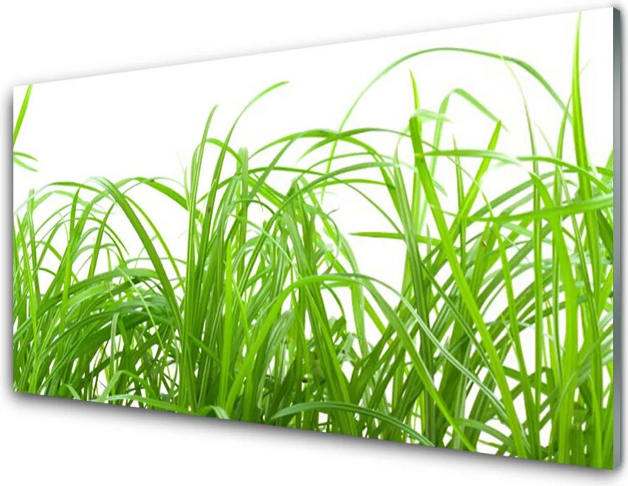 Panel Szklany Soczysta Zielona Trawa