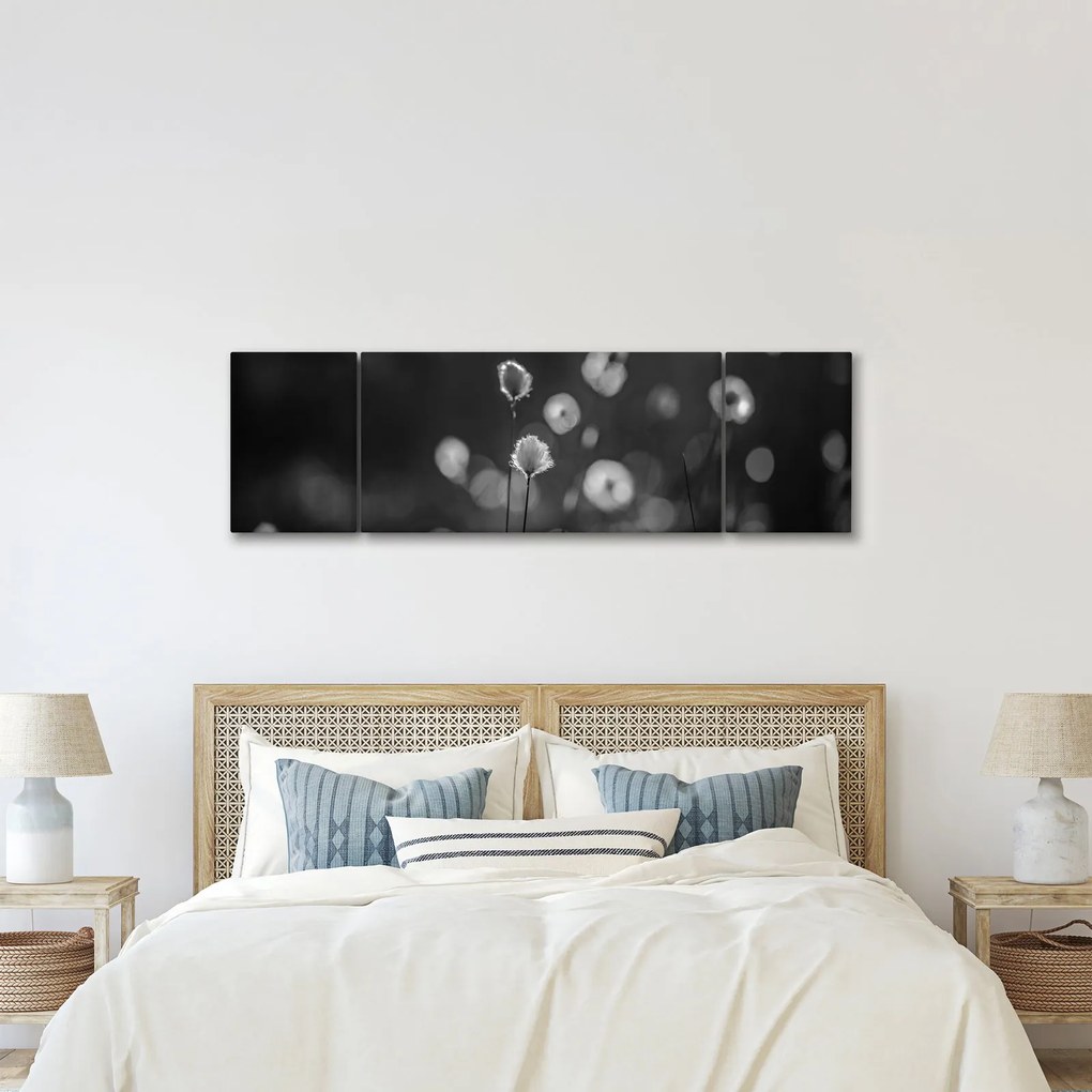 Obraz - Trawa bawełniana na łące (170x50 cm)