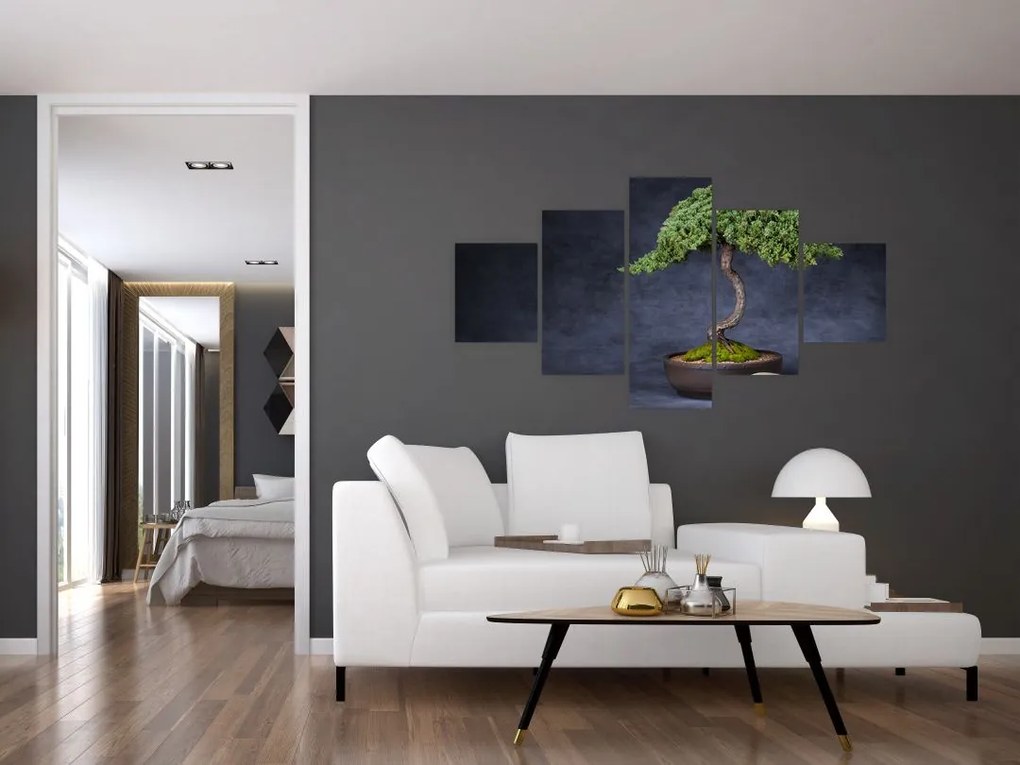 Obraz - Bonsai (125x70 cm)
