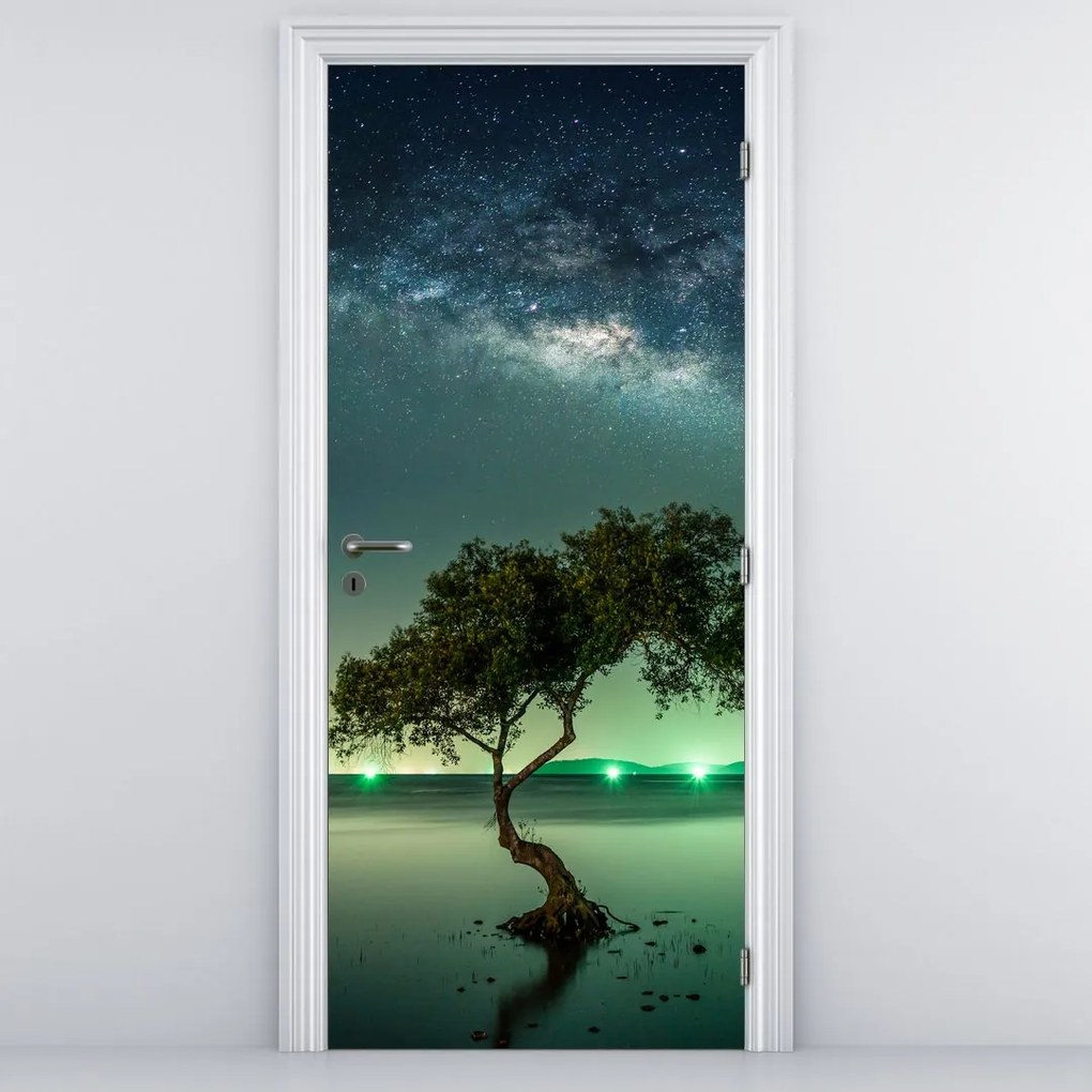 Fototapeta na drzwi - Nocne niebo (95x205cm)
