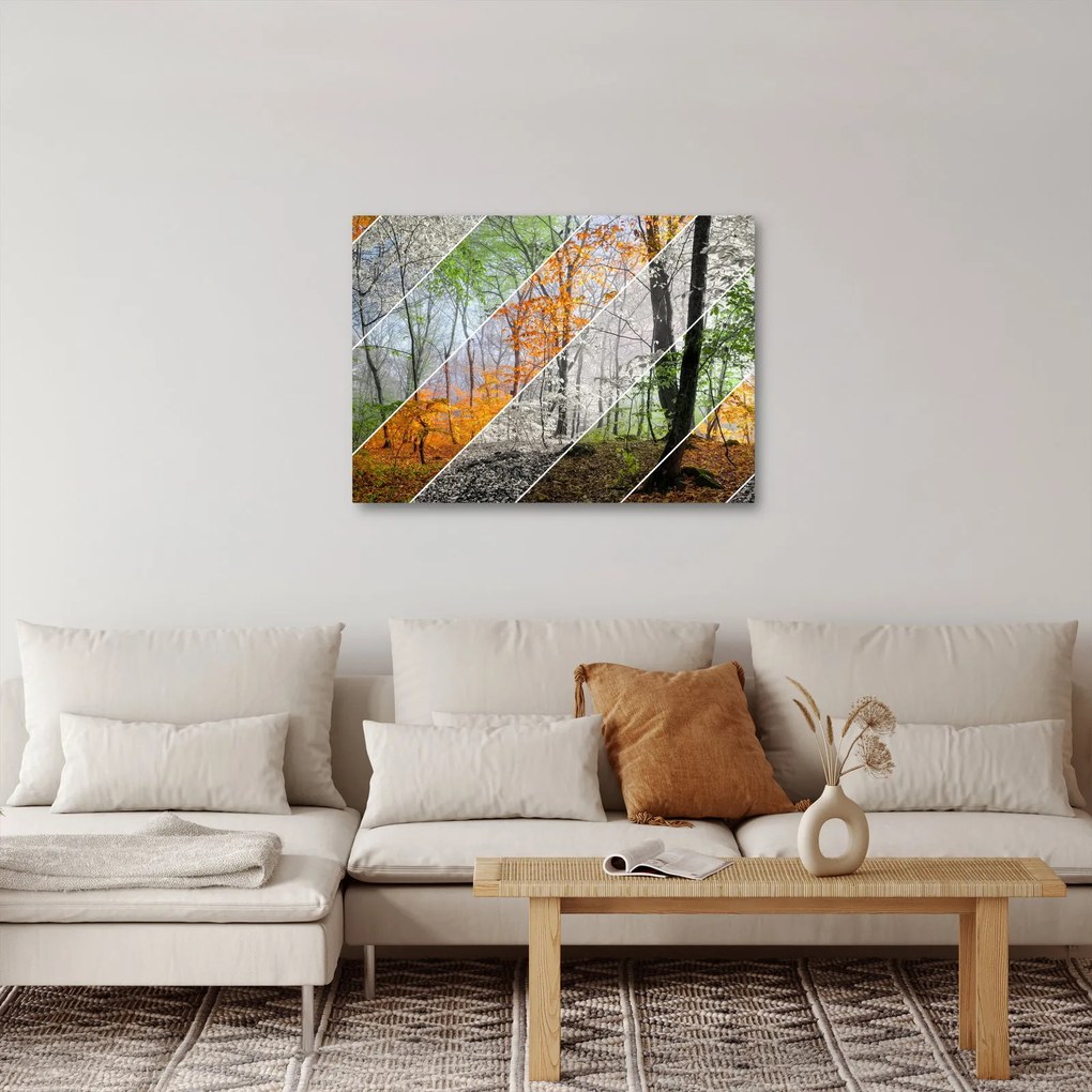 Obraz - Zmieniające się pory roku (70x50 cm)