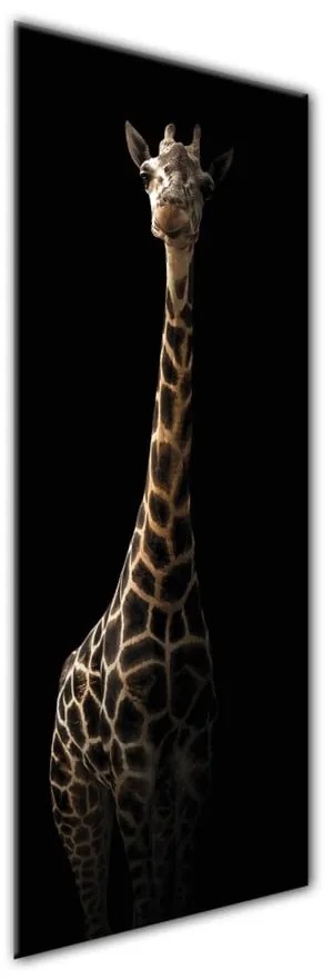 Obraz Styler Glas Animals Gira, 50x125 cm