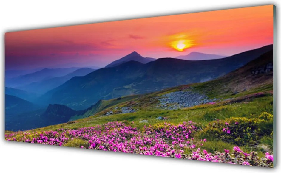 Panel Szklany Alpejska Polana Kwiatowa