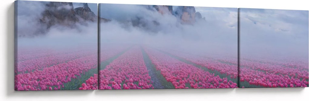 Obraz - Krajobraz z polami tulipanów (170x50 cm)