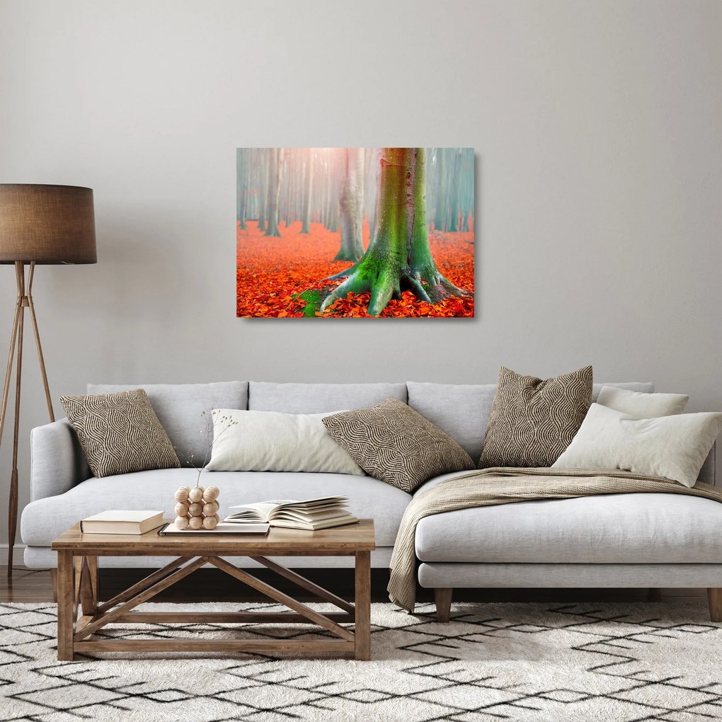Obraz na szkle - drzewa (70x50 cm)