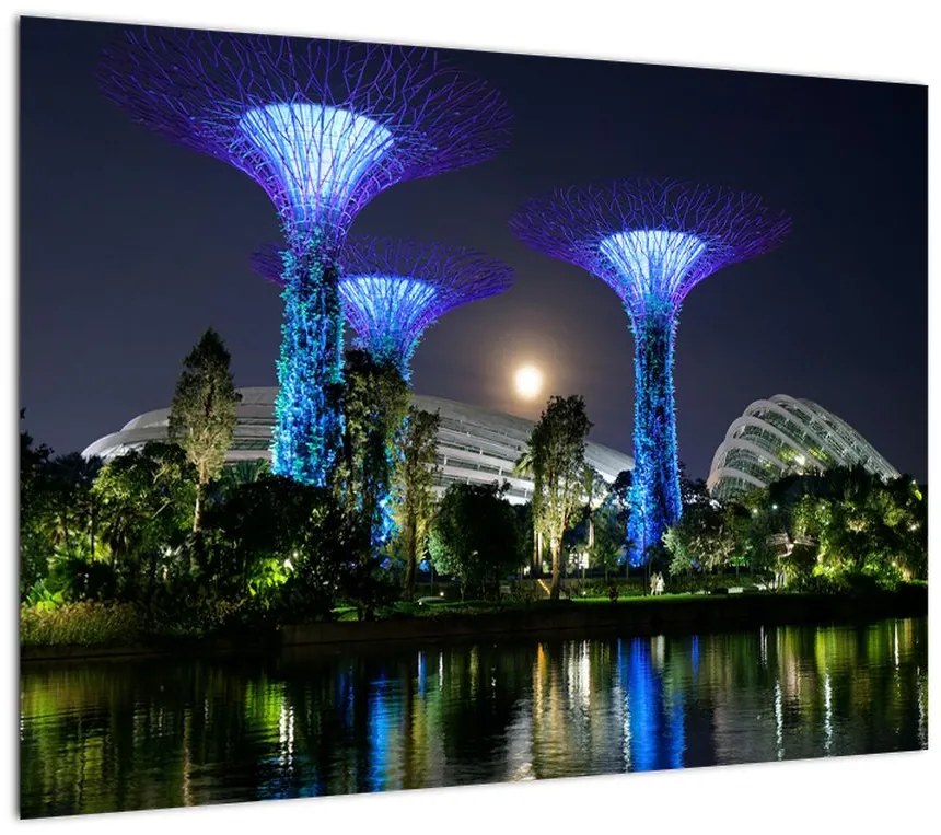 Obraz przedstawiający pełnię księżyca w ogrodach Singapuru (70x50 cm)