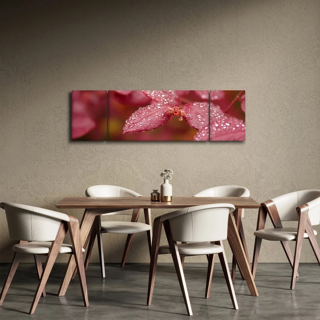 Obraz - Obraz biletu w trybie makro (170x50 cm)