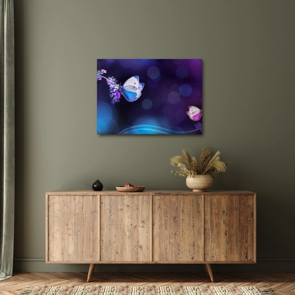 Obraz - Motyle na lawendie (70x50 cm)