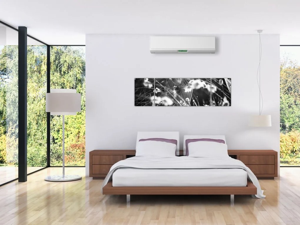 Obraz - Pajęczyna na łące (170x50 cm)