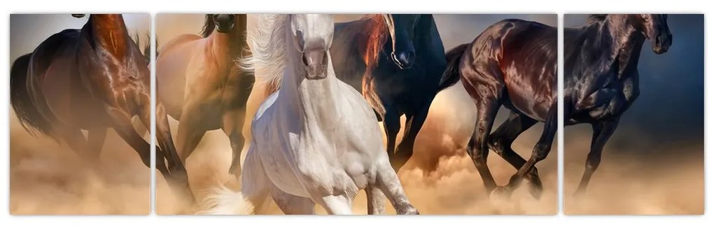 Obraz - Konie na pustyni (170x50 cm)