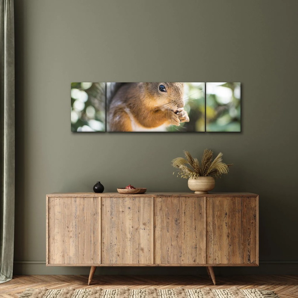 Obraz wiewiórki (170x50 cm)