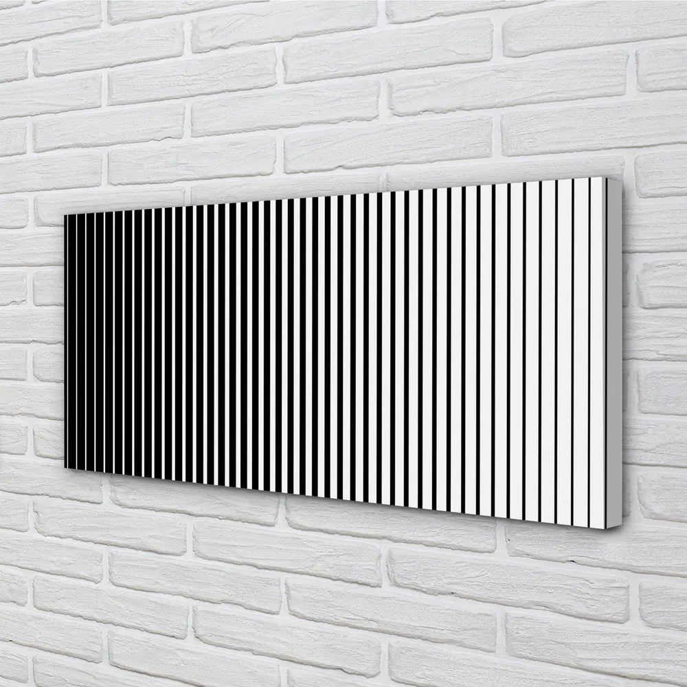 Obraz na płótnie Gradientowy Wzór Zebry